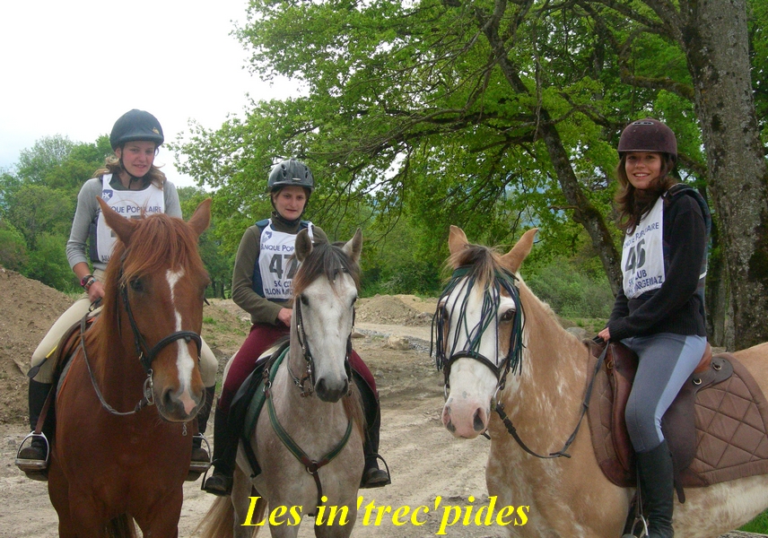 Intrecpides - TREC gavot 05.2008 - groupe